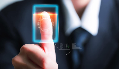 Biometric fingerprint